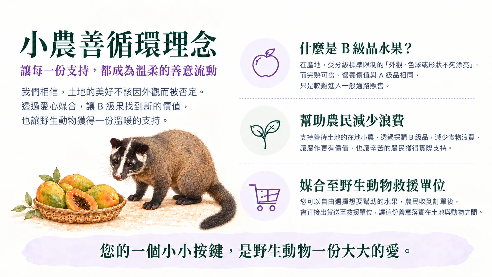 臺灣白鼻心插圖：小農善循環理念，B級水果愛心媒合與野生動物救援說明