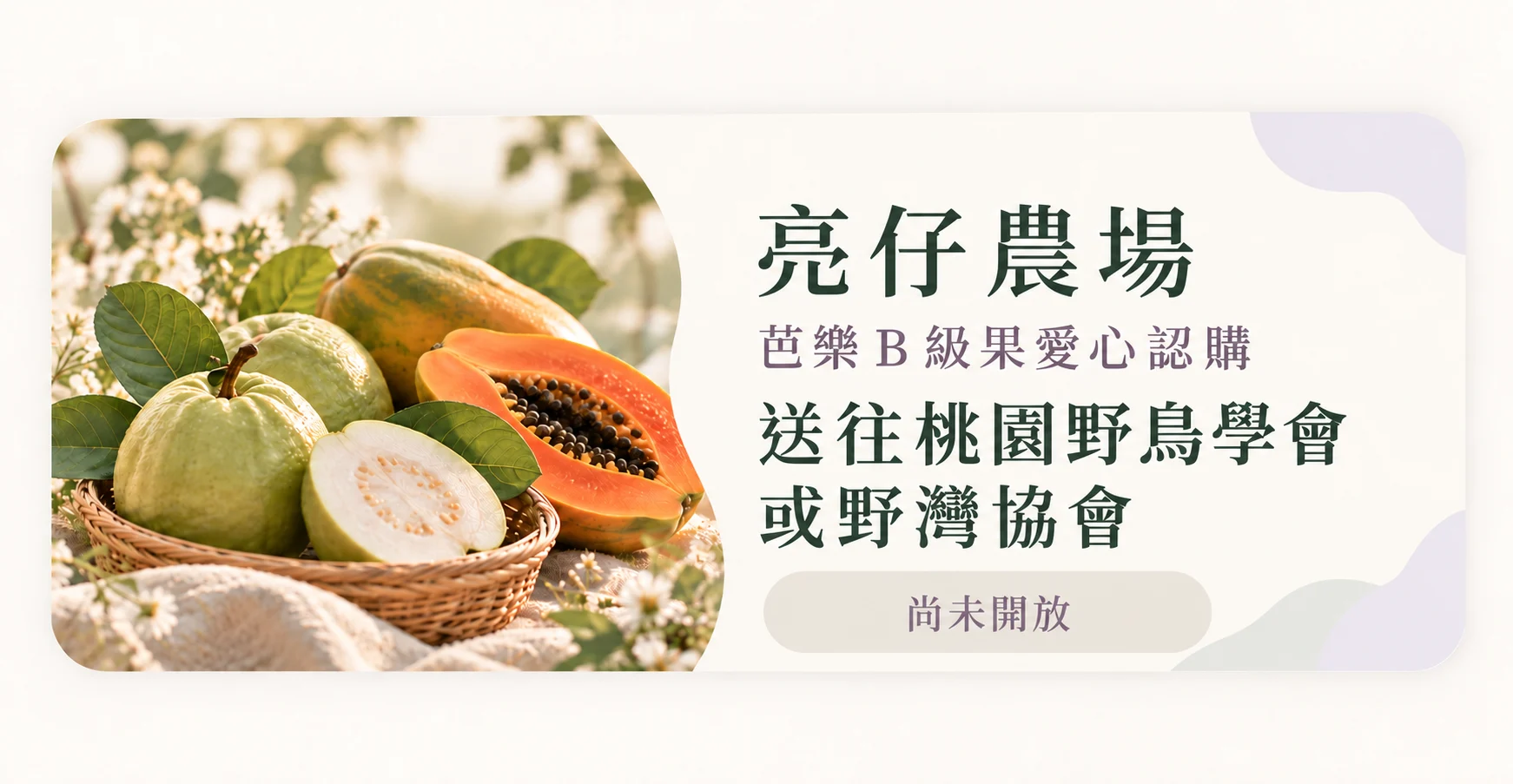 亮仔農場：芭樂 B 級果愛心認購，送往桃園野鳥學會或野灣協會，目前尚未開放。